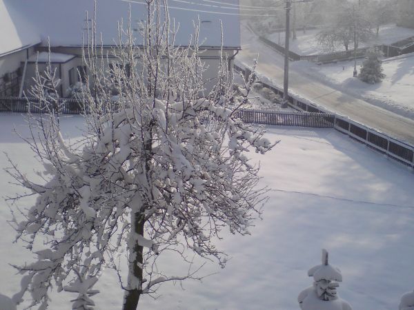 Zimna Wódka zimą...