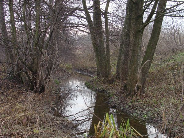 Strumyk nazywany Jeziórkiem