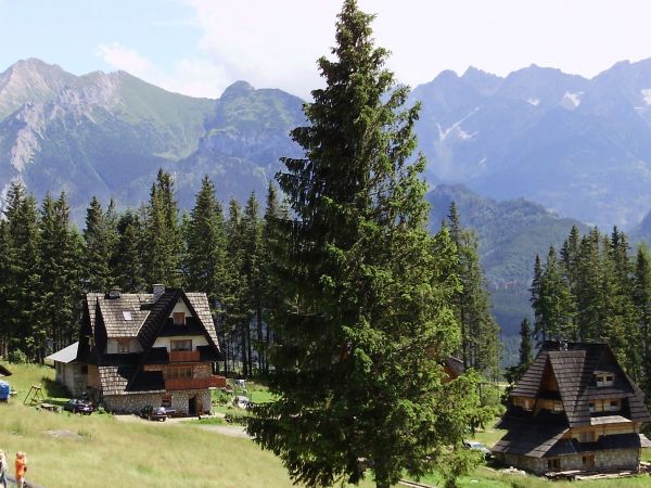 Bukowina Tatrzańska leży na wysokości od 860 do 1000 m n.p.m. (według innych źródeł 850–960 m n.p.m.) i jest położona na Pogórzu Spisko-Gubałowskim; liczy 2700