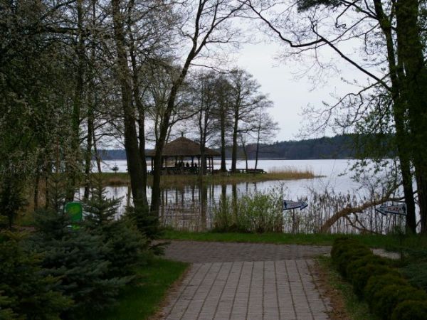 Na terenie hotelu Delfin