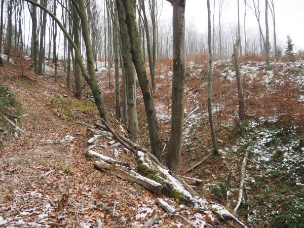 lekko w górę - ale tylko "lekko" bo magia wędrówek dostarcza walorów i doznań co sprawia kuszenie podniet sercowo - wzrokowo - fonetycznych i to sił dodaje w pr
