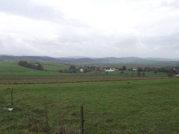 pastwiska "z pastuchami" i zagony upraw / nasadzeń - zaplecze paszowe dla hodowanego we wsi bydła oraz owiec i kóz - przy drodze do  Woli Jaworowej, dziś przysi