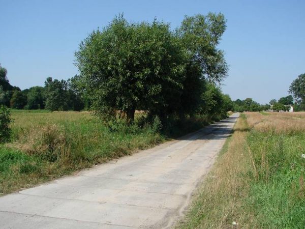 Droga nad zalew w miejscowości Staw.