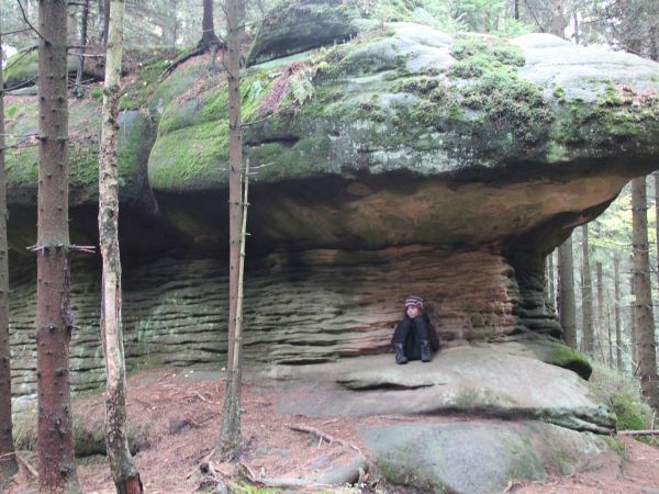 Z Studziennej 25min pieszo czerwonym szlakiem do skupiska ,,Skalnych Grzybów,, położonych w Parku Narodowym Gór Stołowych