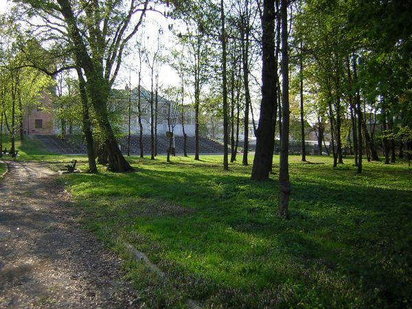 zdjecie Sulechów