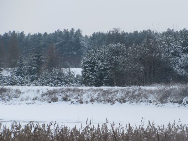 zdjecie Wola Wężykowa