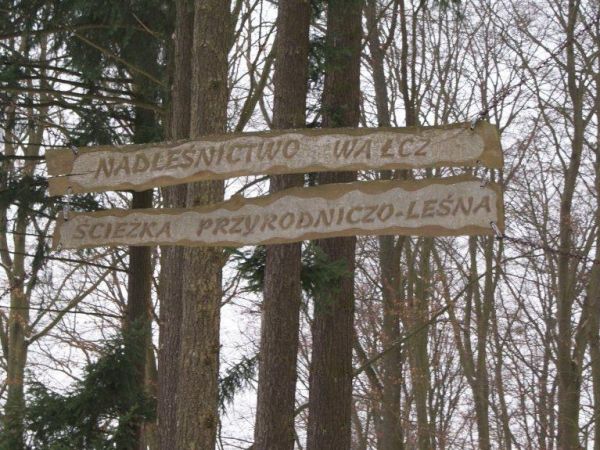 Morzyce koło Wałcza - luty 2012