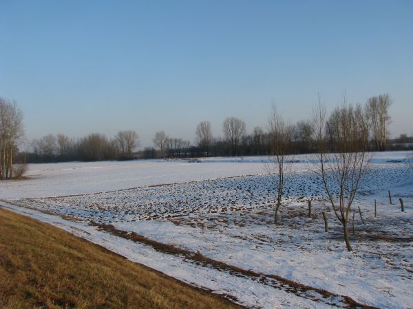 Widok z wału w kierunku Wisły. Foto: T. Krawczyk