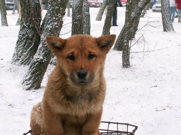 Proszę, weź mnie, będę twoim przyjacielem.