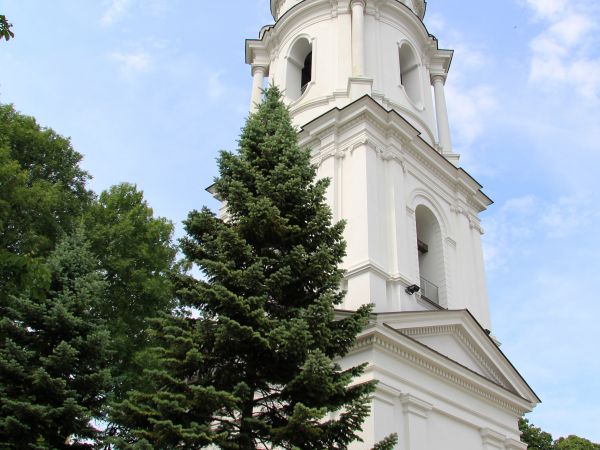 zdjecie Chełm