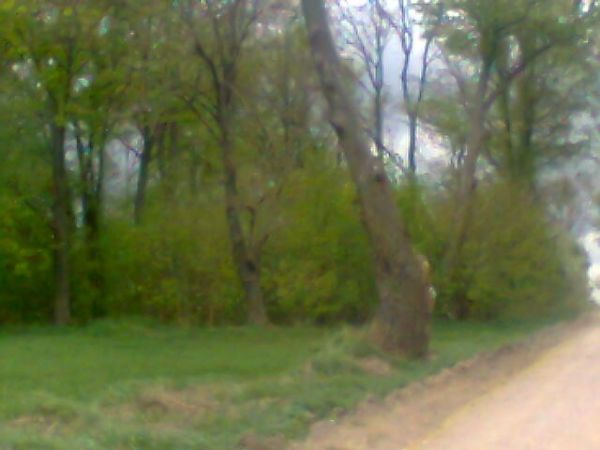 WIATRAK-tak nazywamy ten park