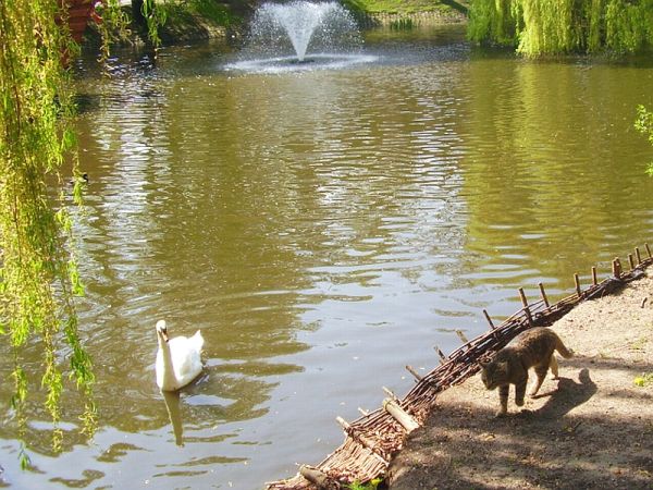 Jest pod obserwacją ...