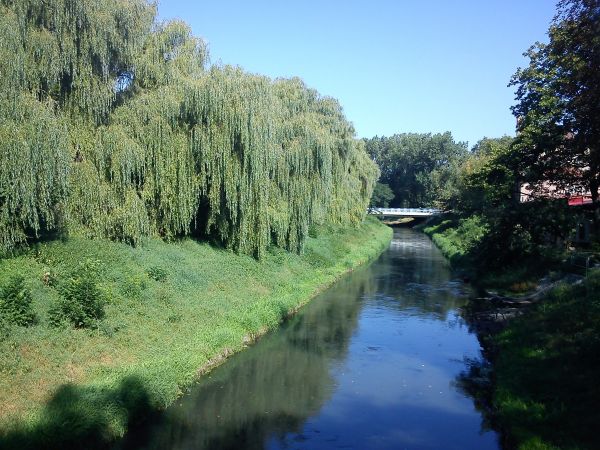 Czeladź-Rzeka Brynica.