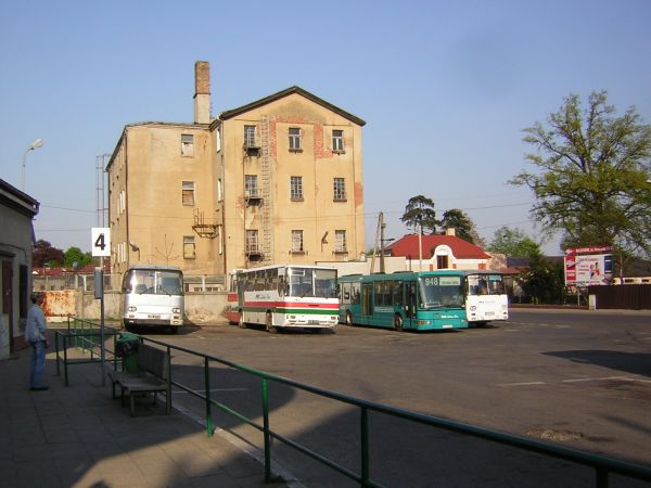 zdjecie Sulechów