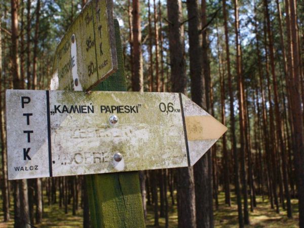 Czechyń, Wrzosy - sierpień 2012,  drogowskaz na Kamień papieski
