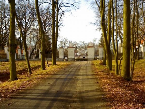 Piękna aleja prowadząca niegdyś do pałacu