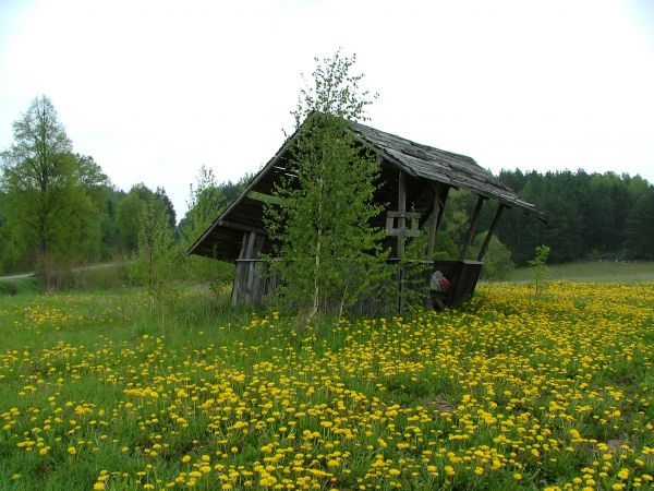 Zdjęcie wykonano w okolicy wsi Burdąg.
