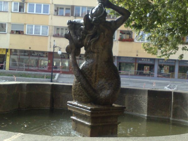 W północnej części rynku stoi Fontanna Syreny, w południowej Fontanna Neptuna z 1731 roku.