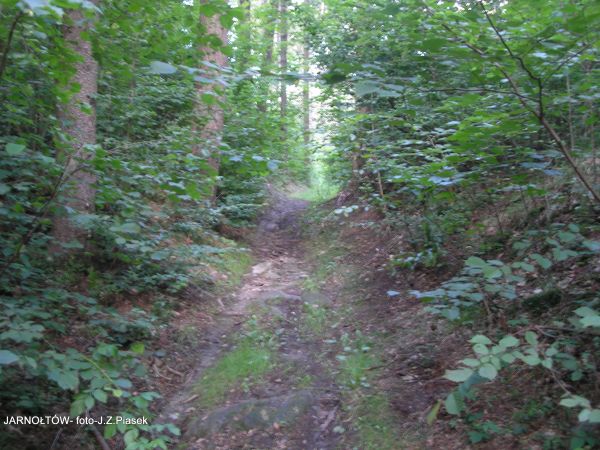 zdjecie Jarnołtów