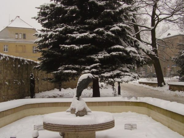 Fontanna z czaplą, schowaną pod czapką śniegu. Czapla wymieniła inną ozdobę  przy renowacji promenady ok. 2 lata temu. Dojście z Kościelnej.
