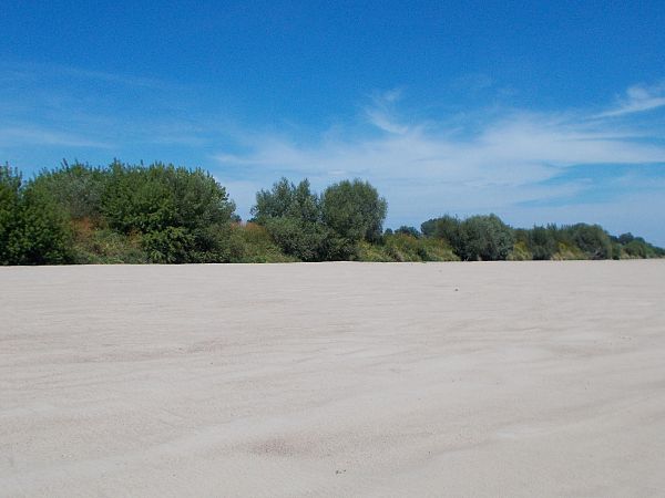 Plaże Brzostkowa są zawsze niespodzianką ,co roku mają inne formy . Podobnie jak chorwackie mają też kamienie nieco mniejsze ale piasek jest wspaniały .To takie