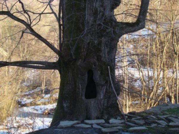 potok Rupnik: za lipą, co to pątników cieniem koiła a do II w.św. trzy odpusty były, 16.05. - Wniebowzięcie Pańskie, 13.08. - Dzień Położenia Ryzy Bohorodzicy,