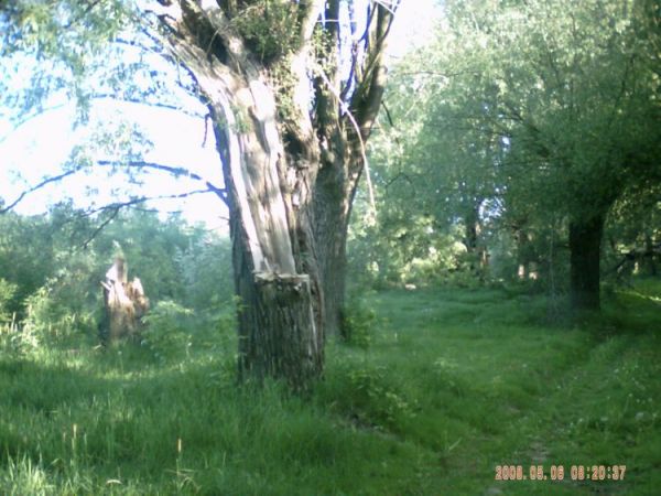 zdjecie Stare Kaliszany