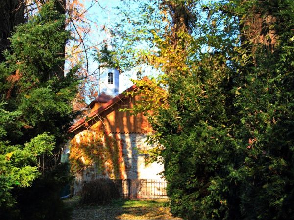 Arboretum w Bolestraszycach - jesienią.