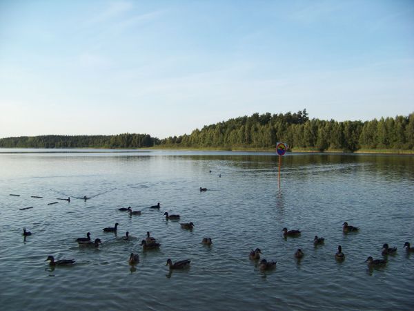 Legalne łamanie zakazu kąpieli