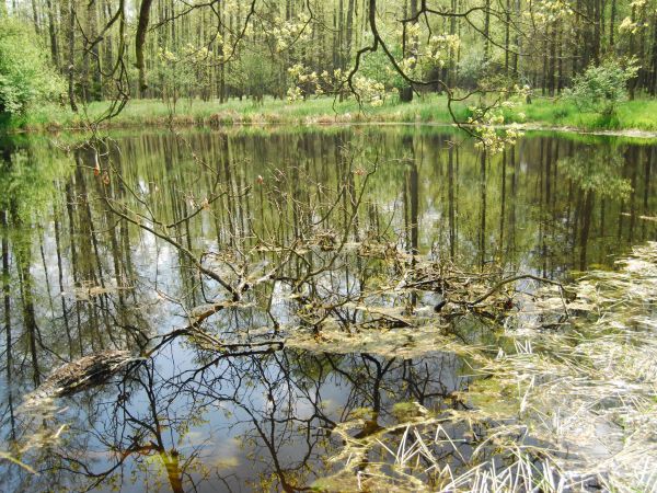 zdjecie Tworóg Mały