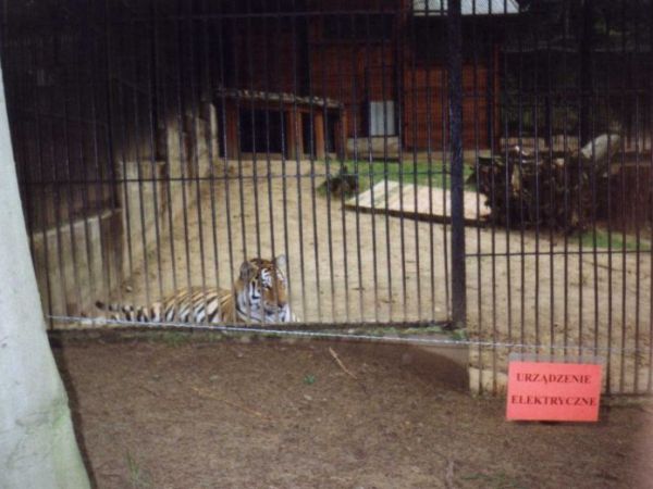 Gdańsk - Oliwa- ZOO