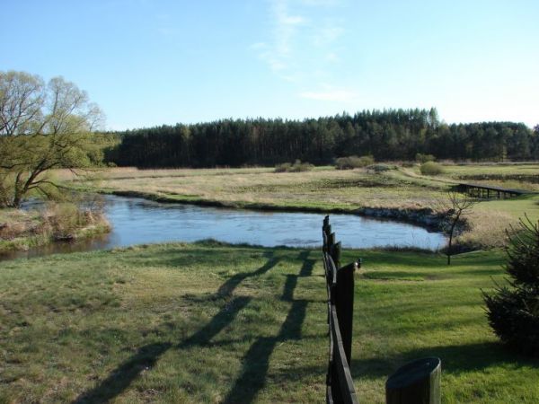 Meander (zakole) Drwęcy.