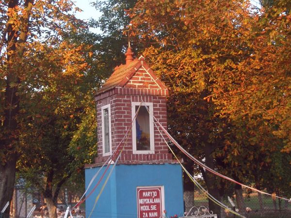 Zdjęcia Gołębiewo