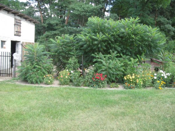 zdjecie Mariańskie Porzecze