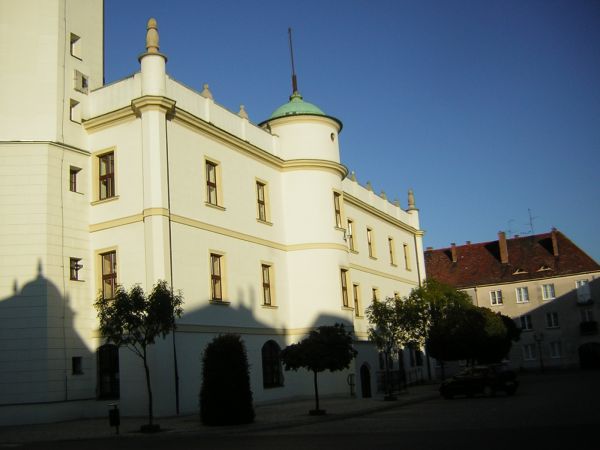 zdjecie Sulechów