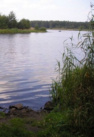 Widok na jezioro paprocańskie.