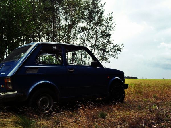 Są takie miejsca , w które warto wrócić .