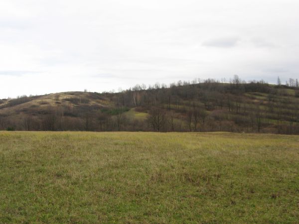 pastwisko przy starym gościńcu, to tędy starosta sanocki do Bełchówki /zdjęcia: wkrótce !/ na balneologiczne zabiegi do właściciela dworu powozem jeździł, w zak