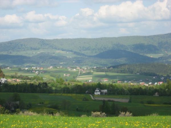 Widok z Siekierczyny