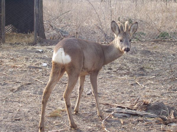 Przy gospodarstwie bezpieczniej