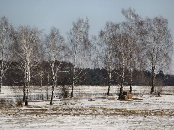 zdjecie Tyniewicze Duże