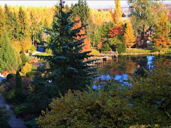 Arboretum w Bolestraszycach - jesienią.