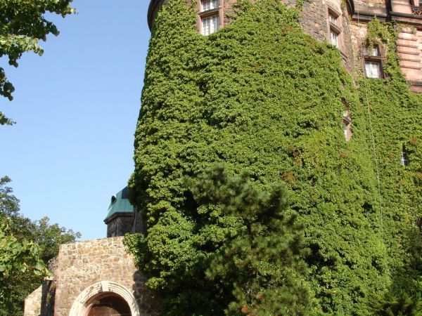 Zamek Książ - wybudowany w latach 1288-1292 przez księcia świdnicko-jaworskiego Bolka I Surowego . Od 1509 r. jako zastaw, a od 1605 r. wykupiony i wlasnosc dzi