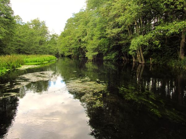 Rzeka Wda. Zdjęcie zrobione z kładki dla pieszych przy kajakarni.