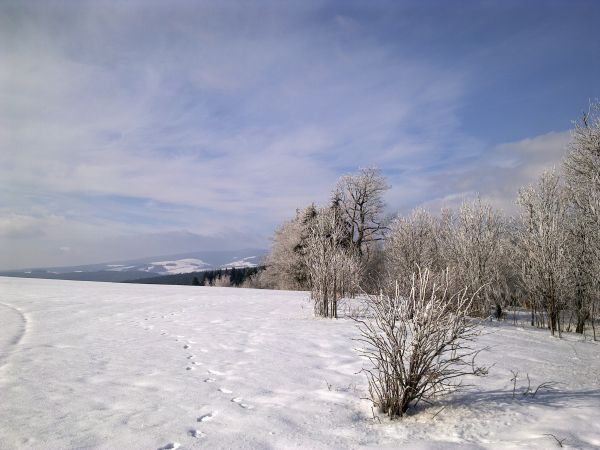 Różanka - żółtym szlakiem na Bochniak (713 m n.p.m.)