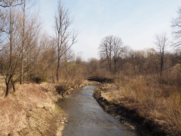 pewnie w czołówce pod kątem czystości wód - rzeka Pielnica, może nawet "raki tam zimują", pewnie dużo ptactwa no i na wiosnę kaczeńców itp. w linii brzegowej -