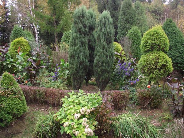 ogród przystrojony kwitnącymi krzewami - kwieciem egzotycznym, aranżacja zachwycająca, w kompozycjach widać wszędzie kunszt ogrodnika !