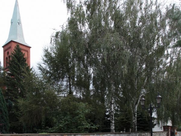 PRZEZ  PEWIEN  CZAS  PRZEWORNA NALEŻAŁO  DO KSIĄŻĄT  BRZESKICH