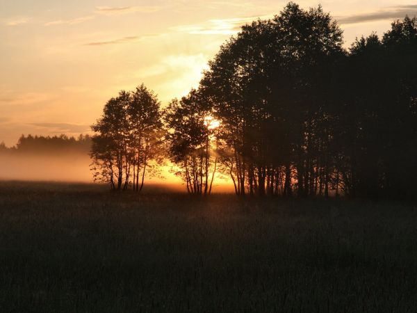zdjecie Tyniewicze Duże