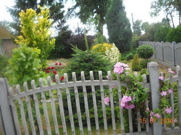 Ogród w Lasowicach W. u p. Redkiewicz